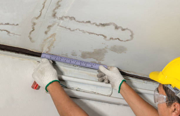Reliable Mold Remediation contractor in Alpine, TX by Water Damage Irwin